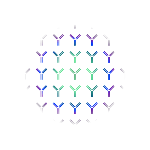 antibody graphic