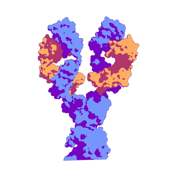 Antibody